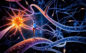 Movimiento del cuerpo y conexion neuronal