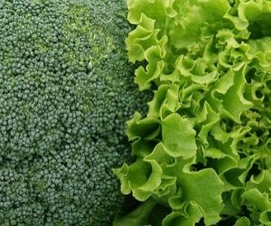 verduras de hoja verde para nuestra salud ocular