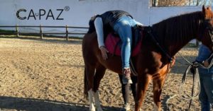 terapia con caballos portada