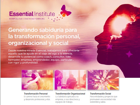 Essential Institute by Cris Bolívar